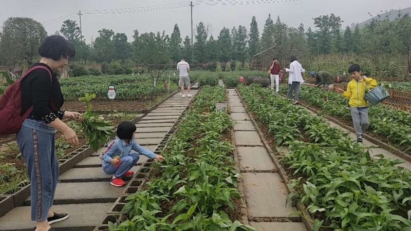 生态农产品的贵，到底贵在哪里