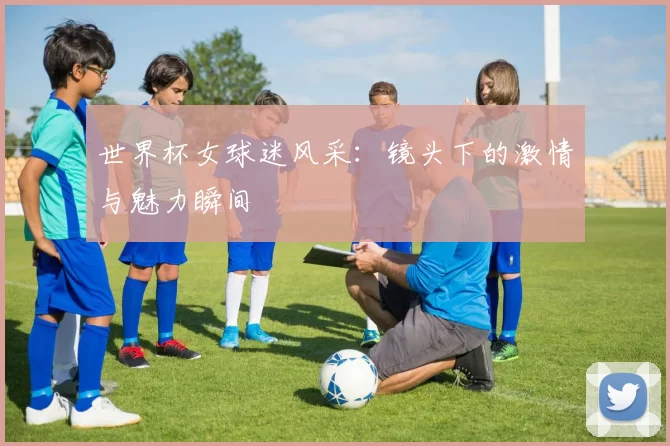 世界杯女球迷风采:镜头下的激情与魅力瞬间