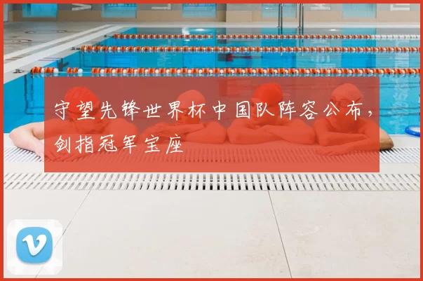守望先锋世界杯中国队阵容公布,剑指冠军宝座