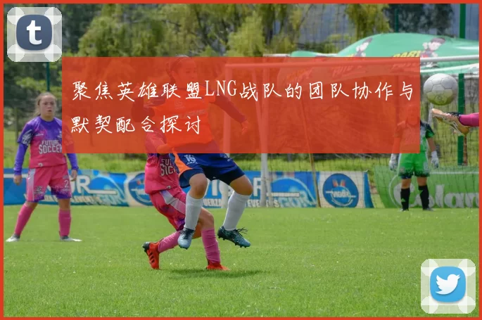 聚焦英雄联盟LNG战队的团队协作与默契配合探讨
