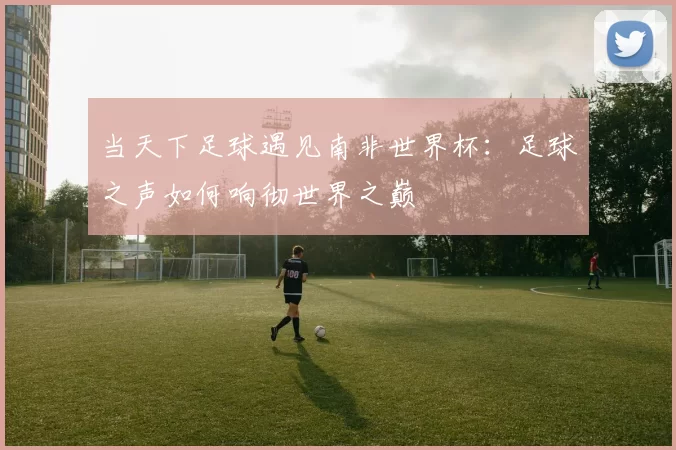 当天下足球遇见南非世界杯：足球之声如何响彻世界之巅