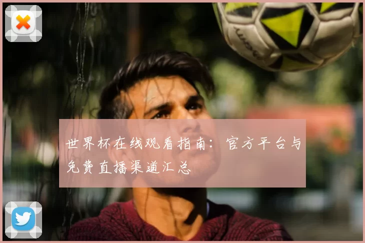 世界杯在线观看指南：官方平台与免费直播渠道汇总