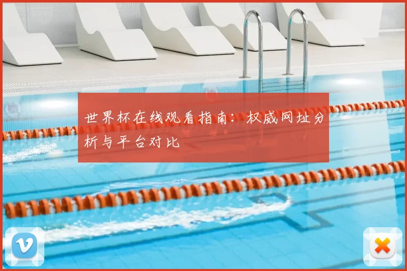 世界杯在线观看指南：权威网址分析与平台对比