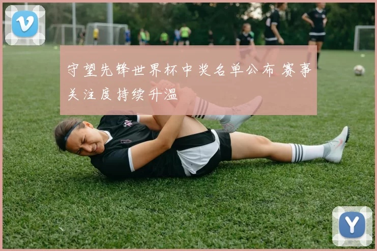 守望先锋世界杯中奖名单公布 赛事关注度持续升温