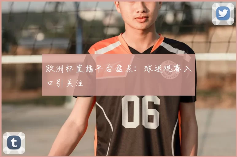 欧洲杯直播平台盘点：球迷观赛入口引关注