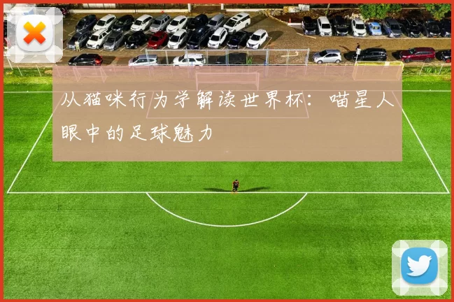 从猫咪行为学解读世界杯：喵星人眼中的足球魅力