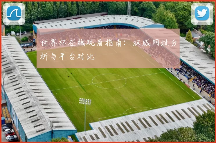 世界杯在线观看指南：权威网址分析与平台对比