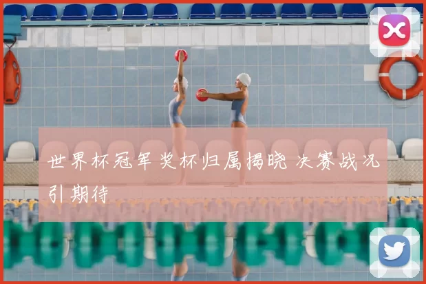 世界杯冠军奖杯归属揭晓 决赛战况引期待