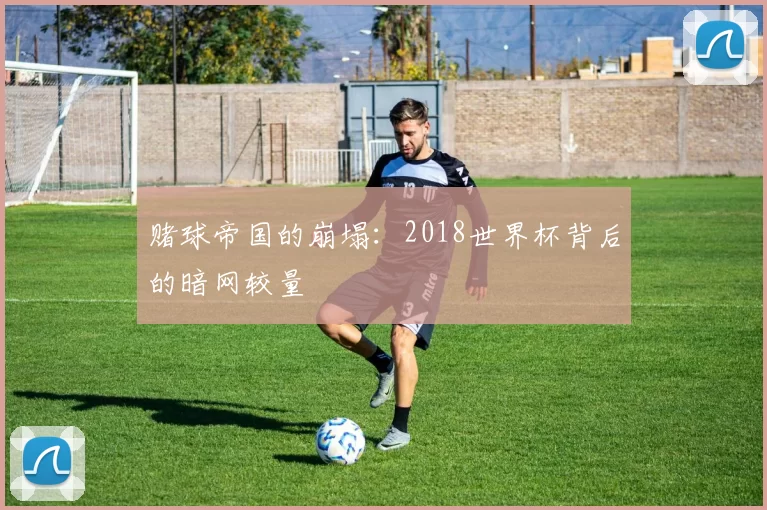 赌球帝国的崩塌：2018世界杯背后的暗网较量