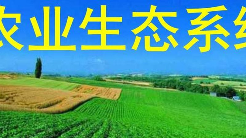 绿色水果种植允许使用的农药，需符合以下标准：