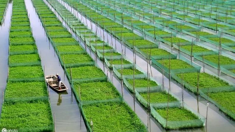 从一张规划图到一座冷链园区：流程拆解与关键节点