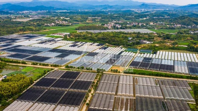 合作社在享受国家规定的税收优惠政策方面，可以享受以下减免：