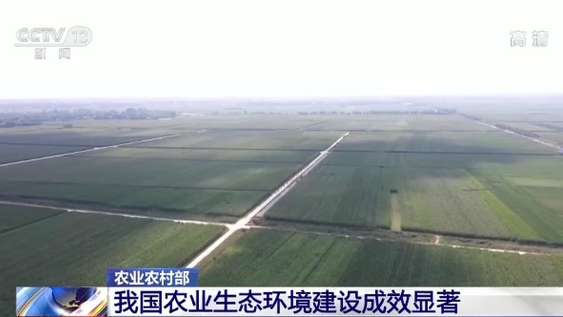合作社贷款手续繁琐？一张图理清全流程