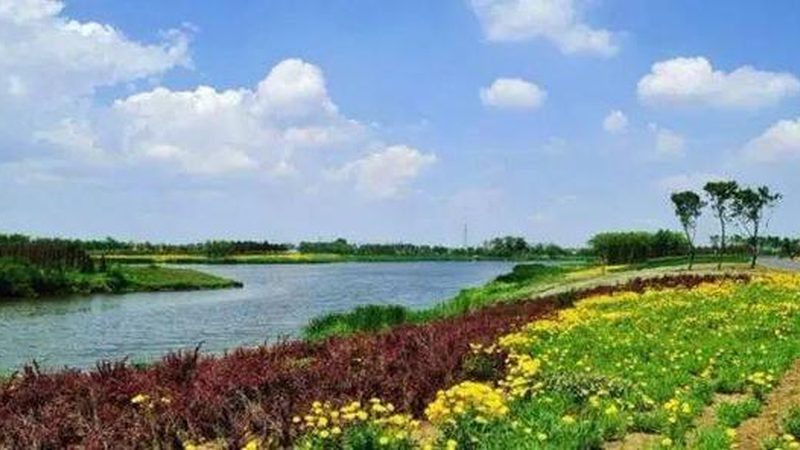 生态农业循环经济模式：构建可持续种植的未来**