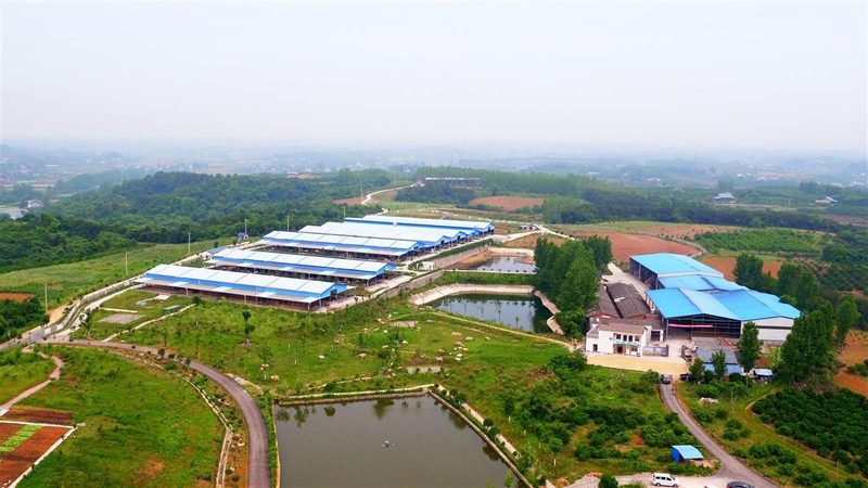 家庭农场与合作社税收差异解析