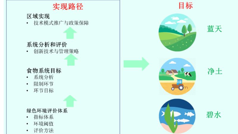 市场分析是农业项目可行性报告的核心内容之一。主要包括以下方面：