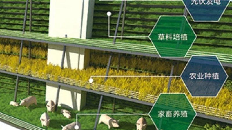 学校蔬菜配送注意事项