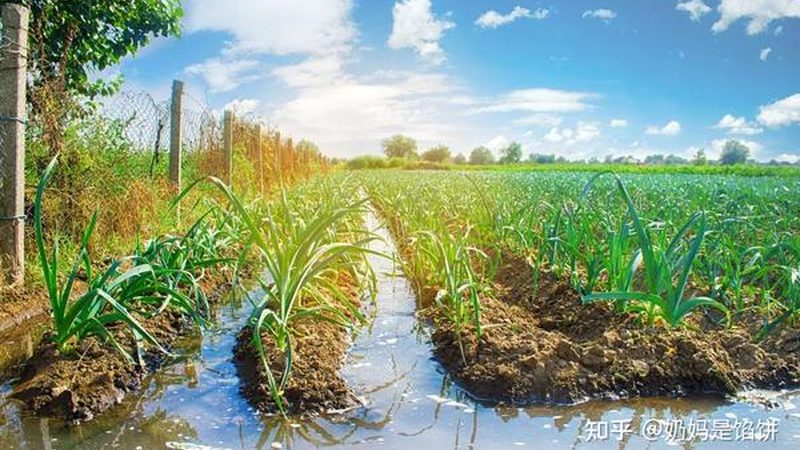 智慧农业水肥一体机，品牌榜单背后的真实差距在哪