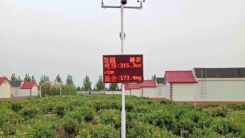 水果种植：新手如何有效防虫？**