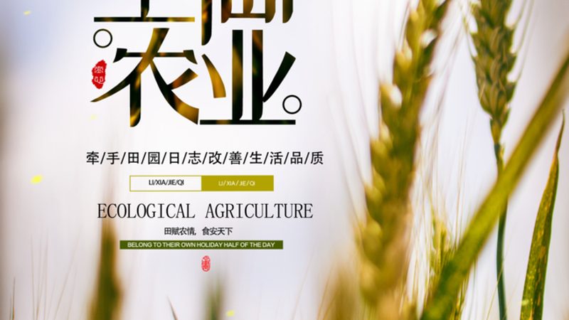 果蔬配送报价单格式：Word文档中的关键要素解析